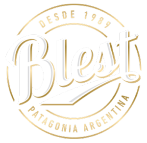 Logo Bless
